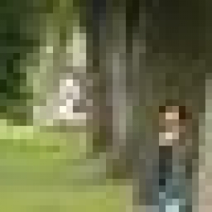 50x50