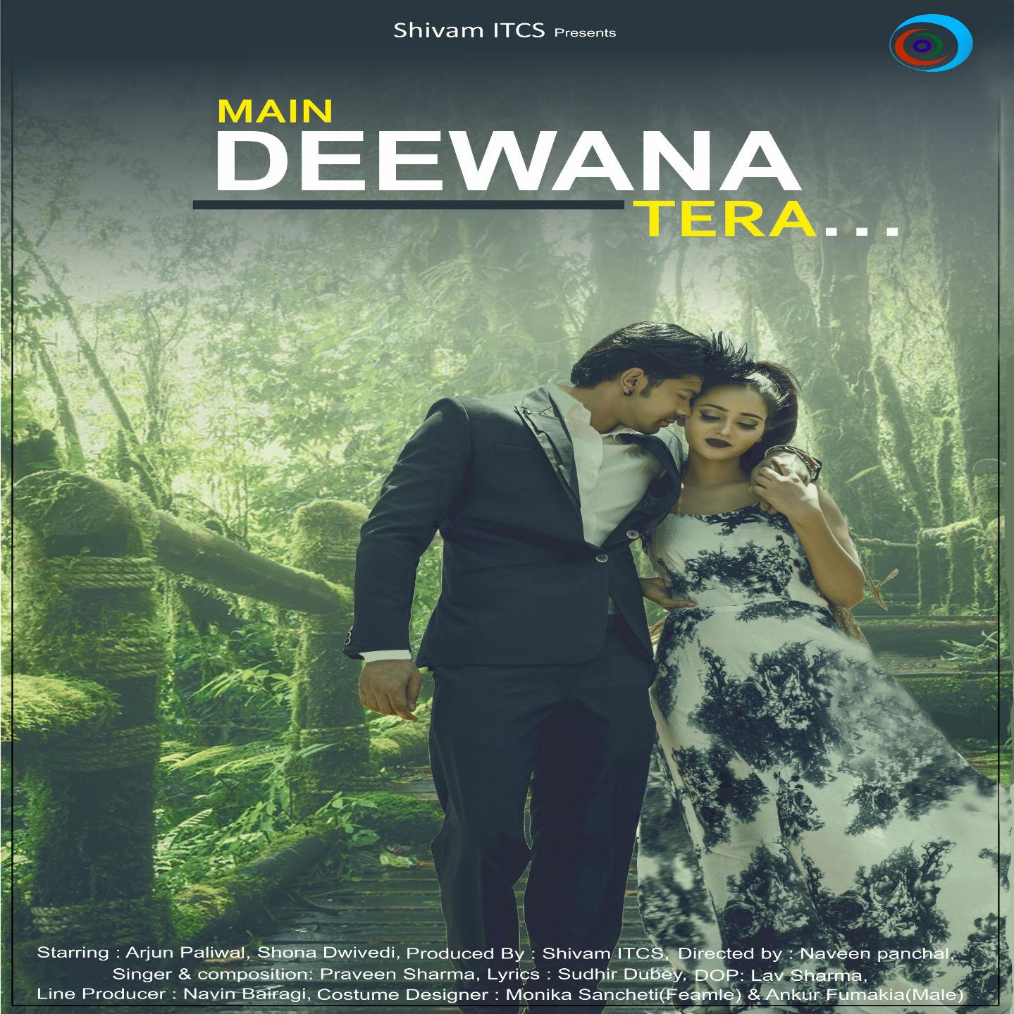 Main Deewana Tera