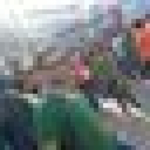 50x50