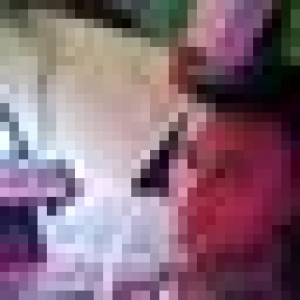 50x50