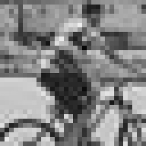 50x50