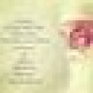 50x50