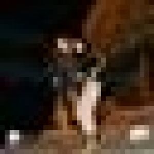 50x50