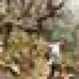 50x50