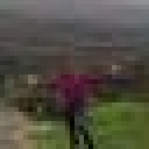50x50